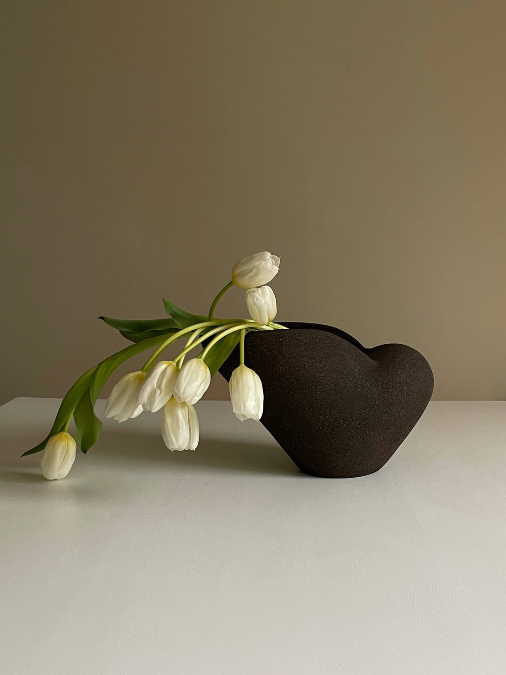 Vase nautile noir.