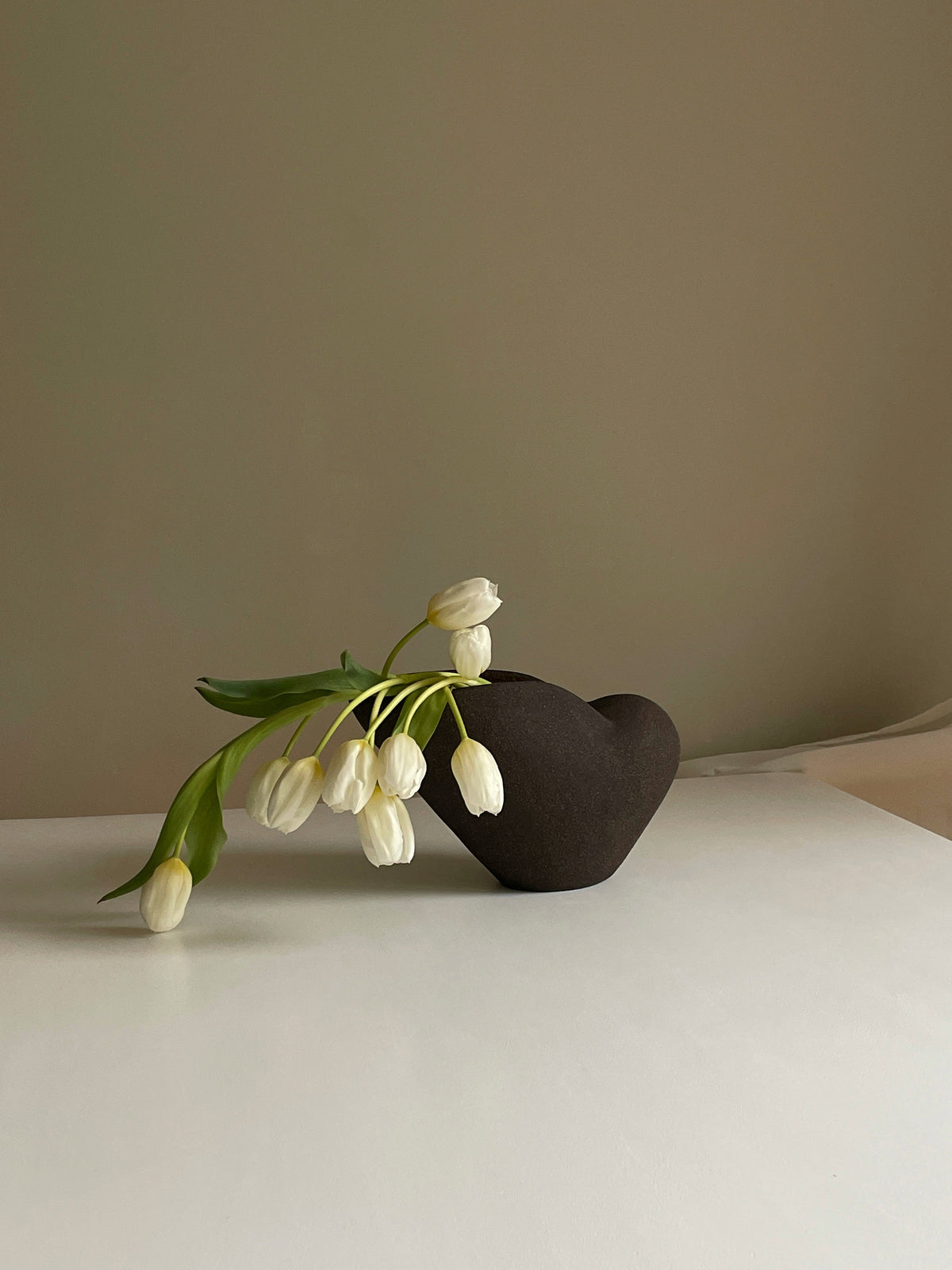 Vase nautile noir.